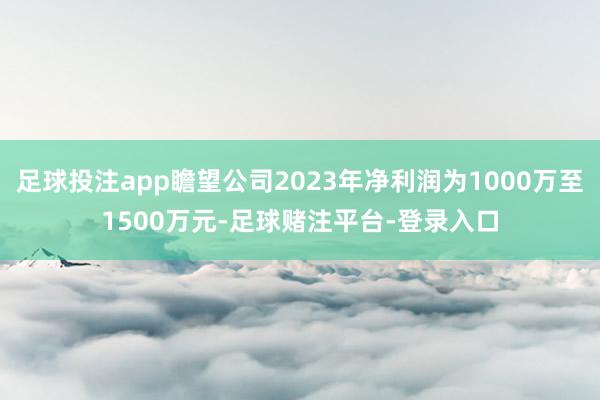 足球投注app瞻望公司2023年净利润为1000万至1500万元-足球赌注平台-登录入口