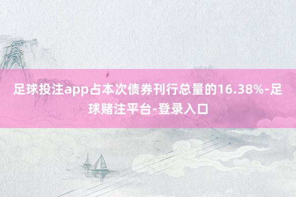 足球投注app占本次债券刊行总量的16.38%-足球赌注平台-登录入口