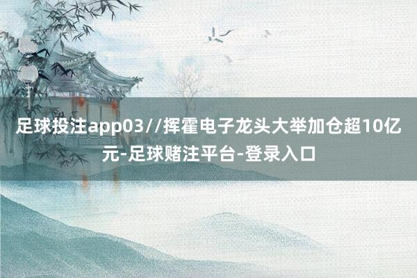 足球投注app03//挥霍电子龙头大举加仓超10亿元-足球赌注平台-登录入口