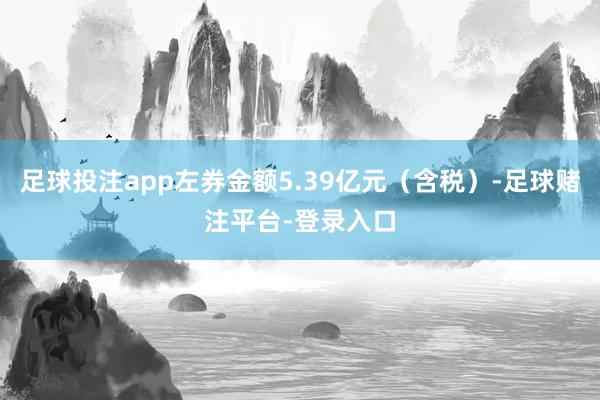 足球投注app左券金额5.39亿元（含税）-足球赌注平台-登录入口