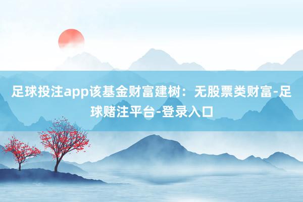 足球投注app该基金财富建树：无股票类财富-足球赌注平台-登录入口