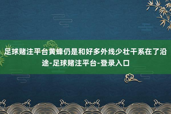 足球赌注平台黄蜂仍是和好多外线少壮干系在了沿途-足球赌注平台-登录入口