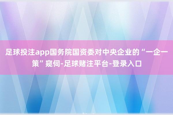 足球投注app国务院国资委对中央企业的“一企一策”窥伺-足球赌注平台-登录入口