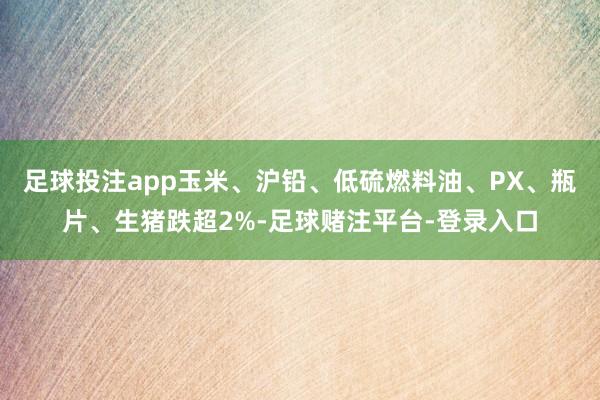 足球投注app玉米、沪铅、低硫燃料油、PX、瓶片、生猪跌超2%-足球赌注平台-登录入口