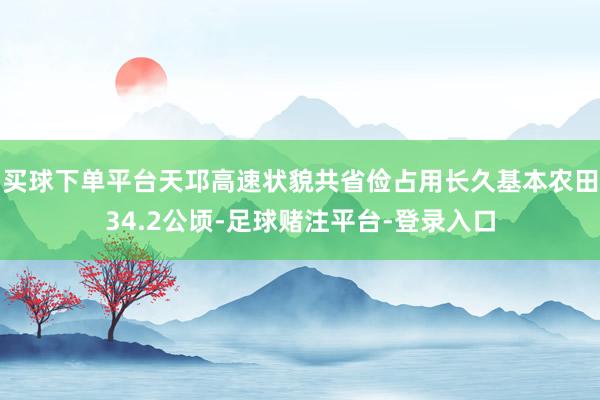 买球下单平台天邛高速状貌共省俭占用长久基本农田34.2公顷-足球赌注平台-登录入口