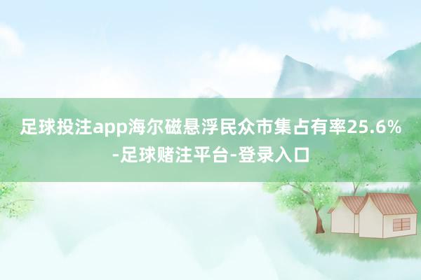 足球投注app海尔磁悬浮民众市集占有率25.6%-足球赌注平台-登录入口