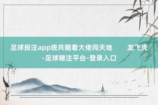 足球投注app统共随着大佬闯天地        龙飞虎-足球赌注平台-登录入口