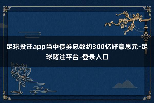 足球投注app当中债券总数约300亿好意思元-足球赌注平台-登录入口