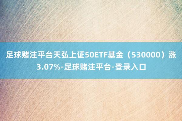 足球赌注平台天弘上证50ETF基金（530000）涨3.07%-足球赌注平台-登录入口